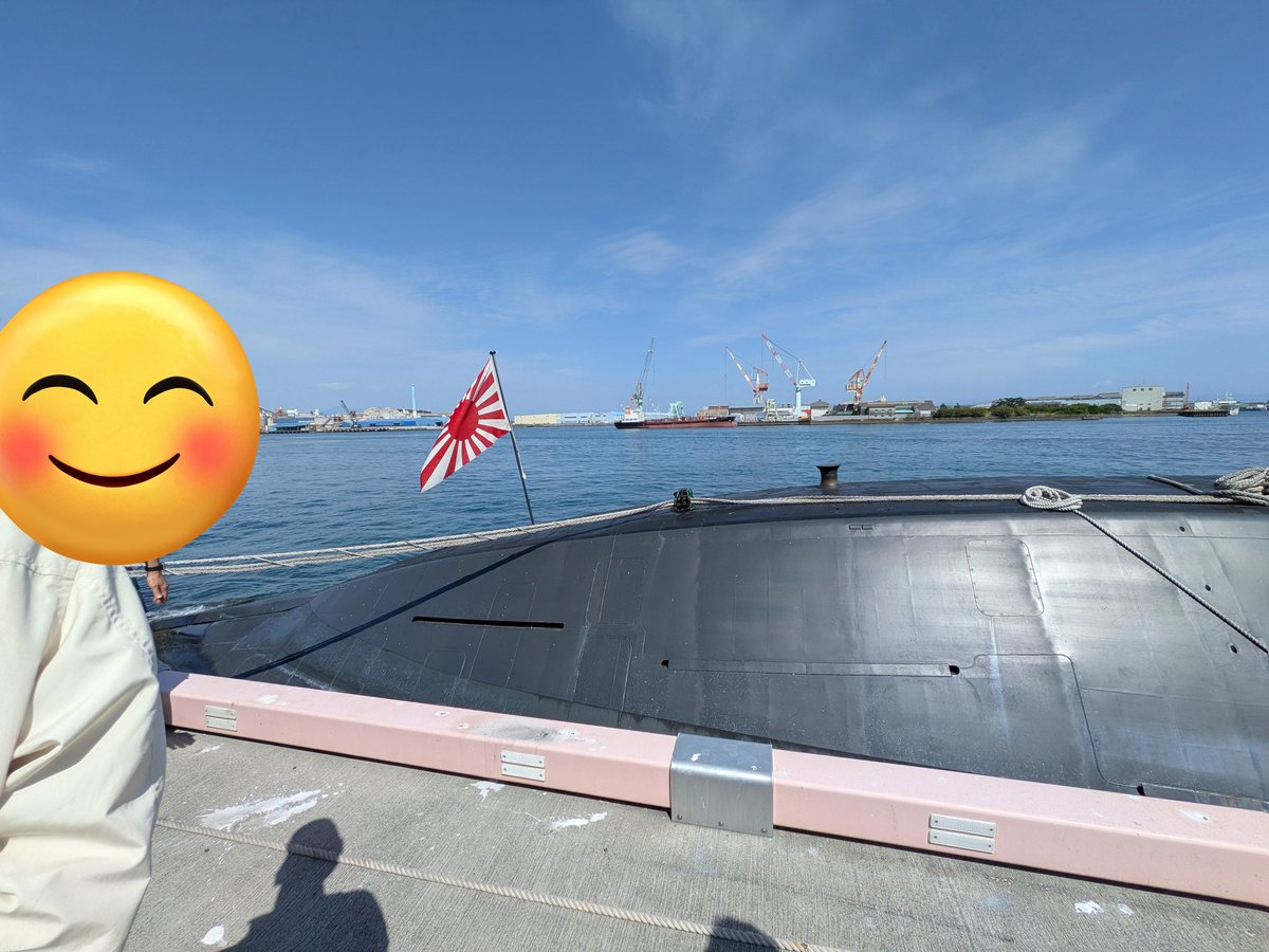 SUGI花粉 tweet media