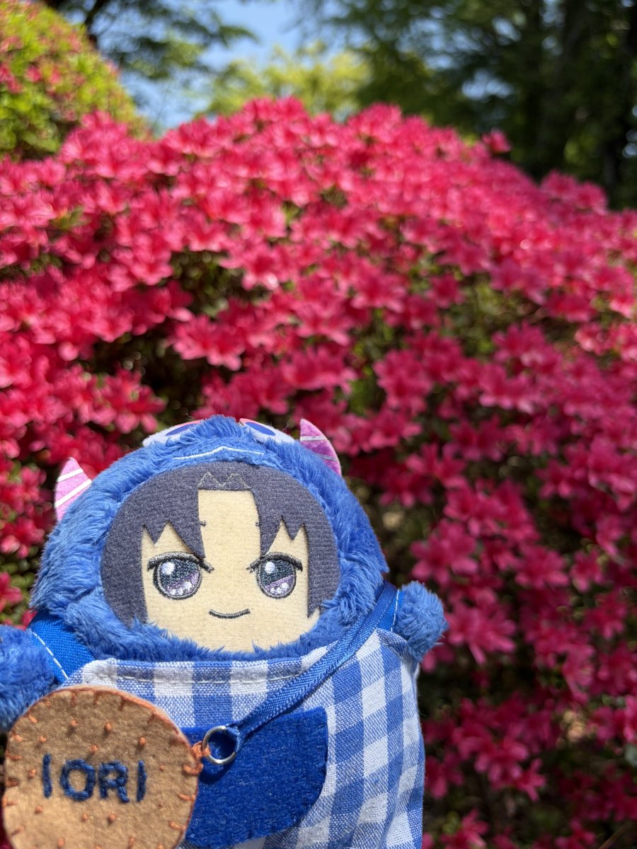 ちぇりっしゅ tweet media