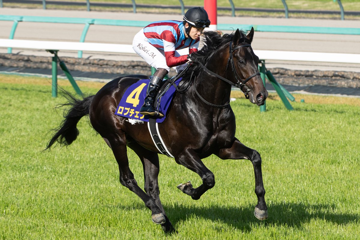 しえる tweet media