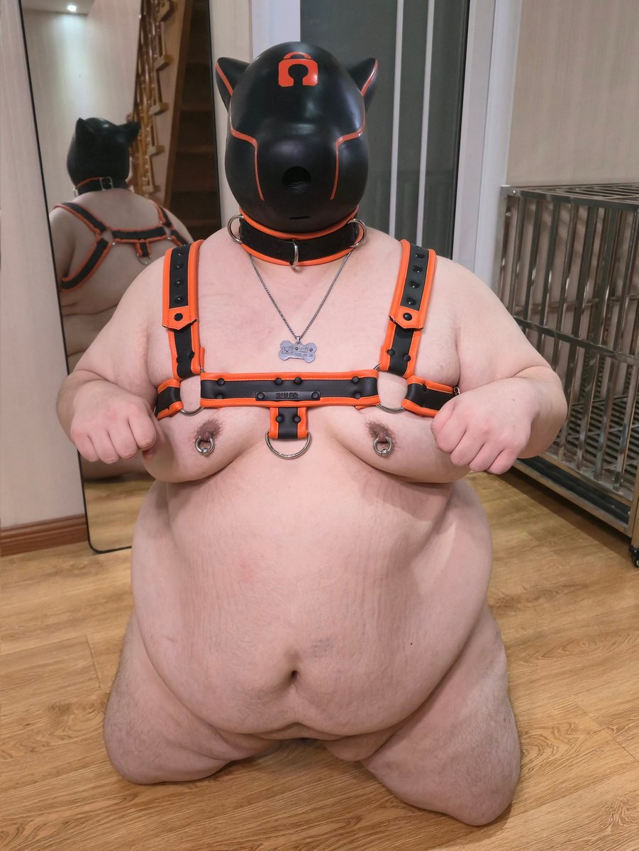 BratPup9/小九(熊兜兜的贱狗) tweet media