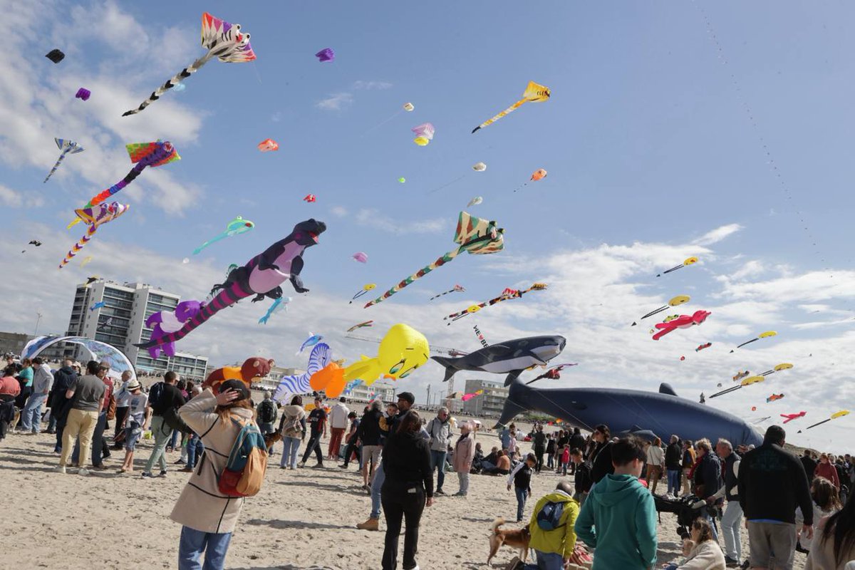 hautsdefrance's tweet photo. 🎏 La 39e édition des #RICV est lancée pour émerveiller petits et grands !
🌞 Le ciel de #BercksurMer s’anime de couleurs et de poésie… Venez partager ce moment magique avec nous !
✔️ Toutes les infos 👉 https://t.co/oR1rB5o5H6 https://t.co/DEdoq552LA