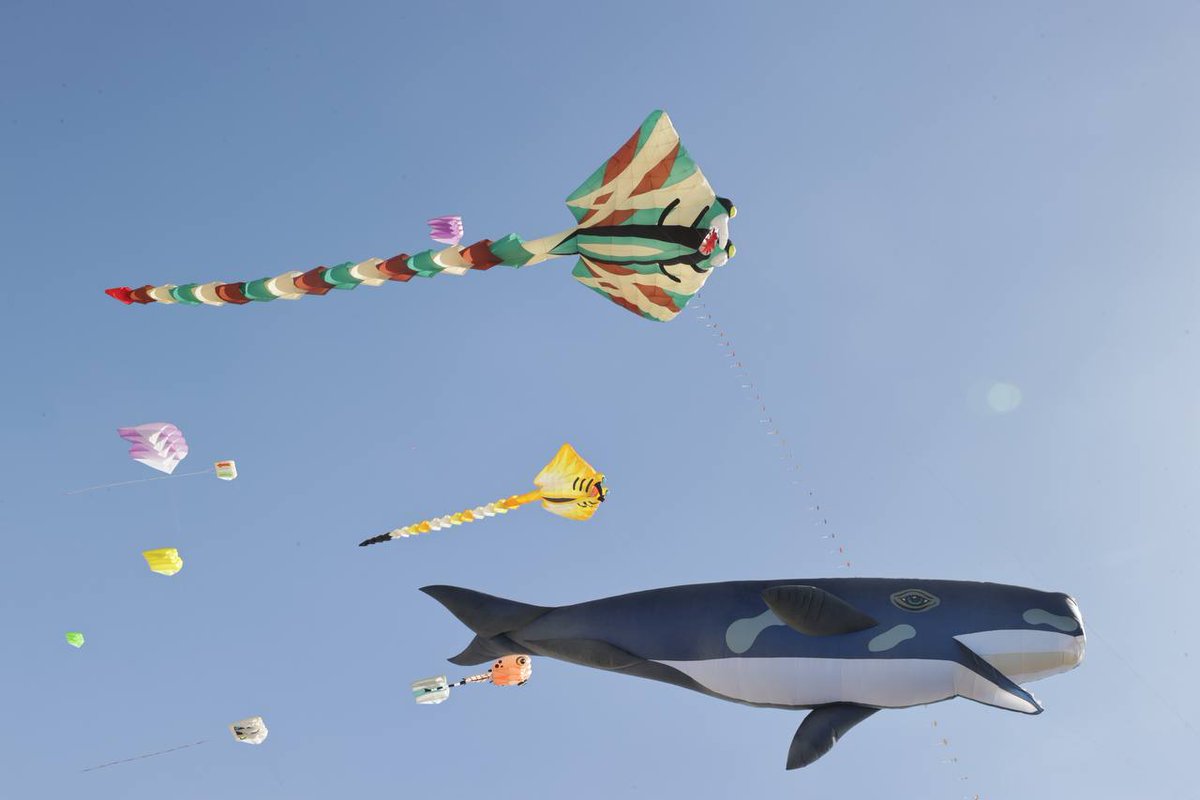 hautsdefrance's tweet photo. 🎏 La 39e édition des #RICV est lancée pour émerveiller petits et grands !
🌞 Le ciel de #BercksurMer s’anime de couleurs et de poésie… Venez partager ce moment magique avec nous !
✔️ Toutes les infos 👉 https://t.co/oR1rB5o5H6 https://t.co/DEdoq552LA