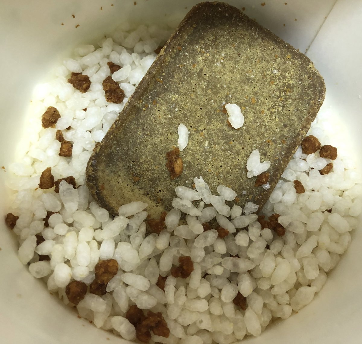 🍀🍠ダイナミック🦊🐈🎬 tweet media