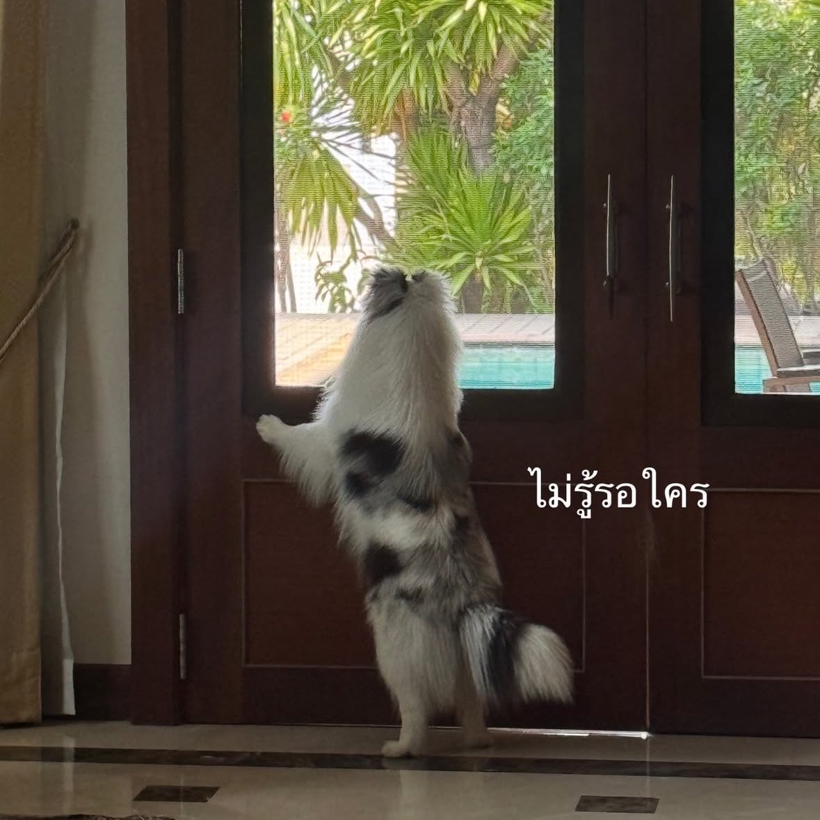 บทด* (slow🐢) tweet media