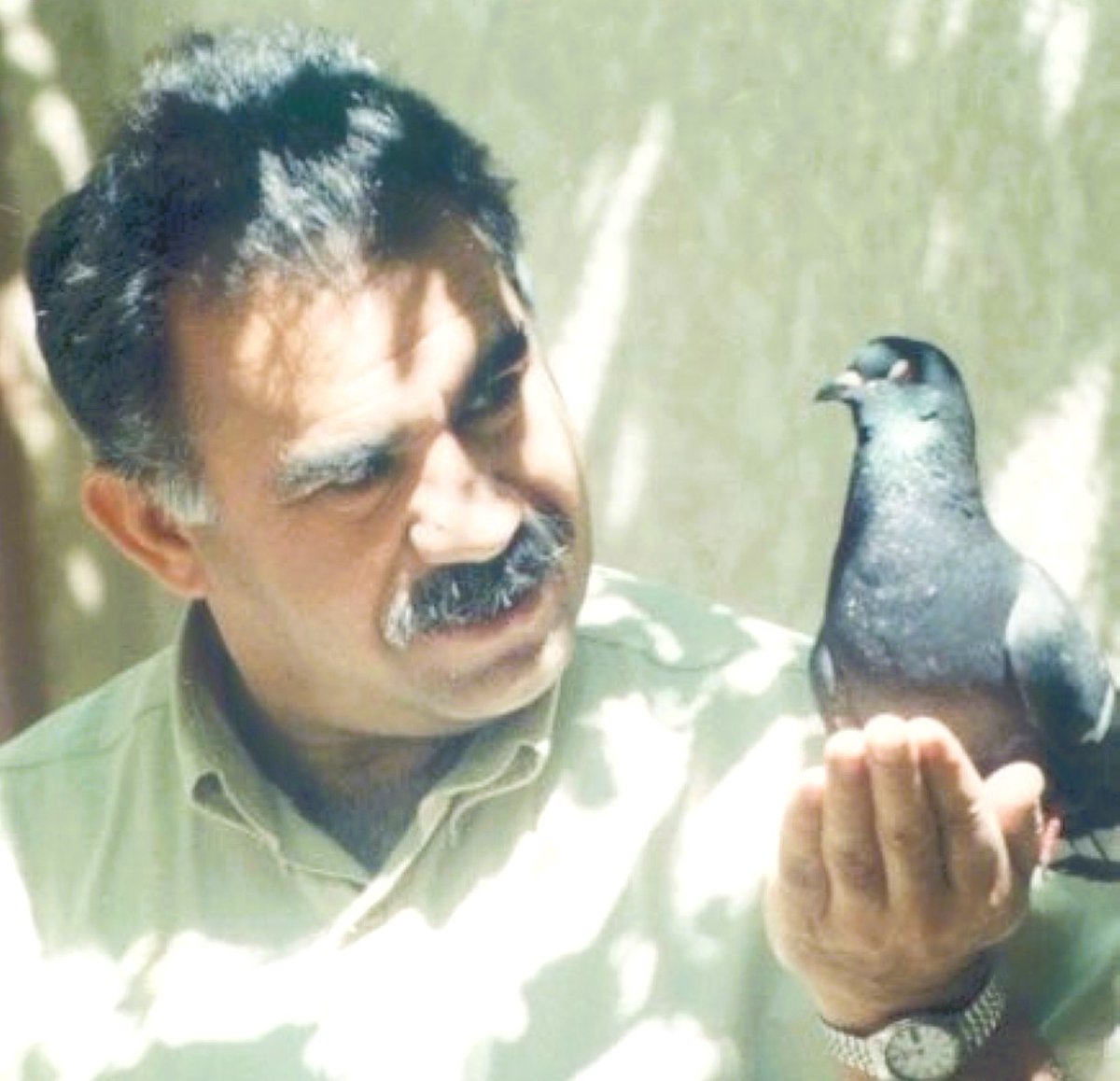 FREEDOM for ÖCALAN 🕊️ tweet media