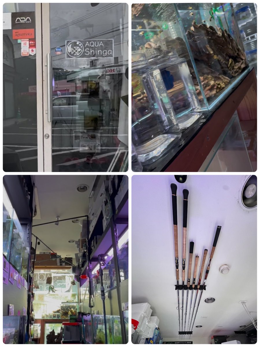 びったれアングラー tweet media