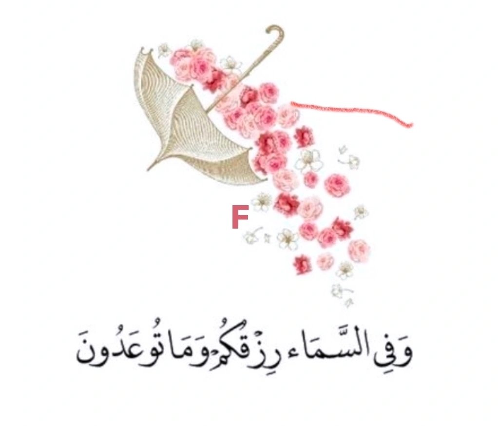 🇰🇼💕 فااطمه💕🇰🇼 tweet media