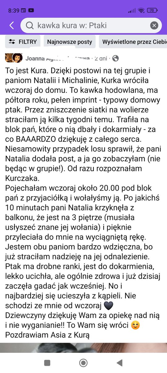 Beata__P_'s tweet photo. @Eric00001989 Dzięki temu postowi kawka Kura wróciła do swojej opiekunki 🙂 https://t.co/uzi4jAQ6Vo