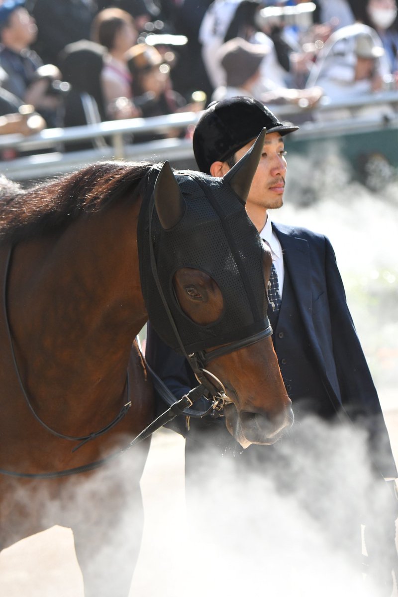 手羽先 tweet media