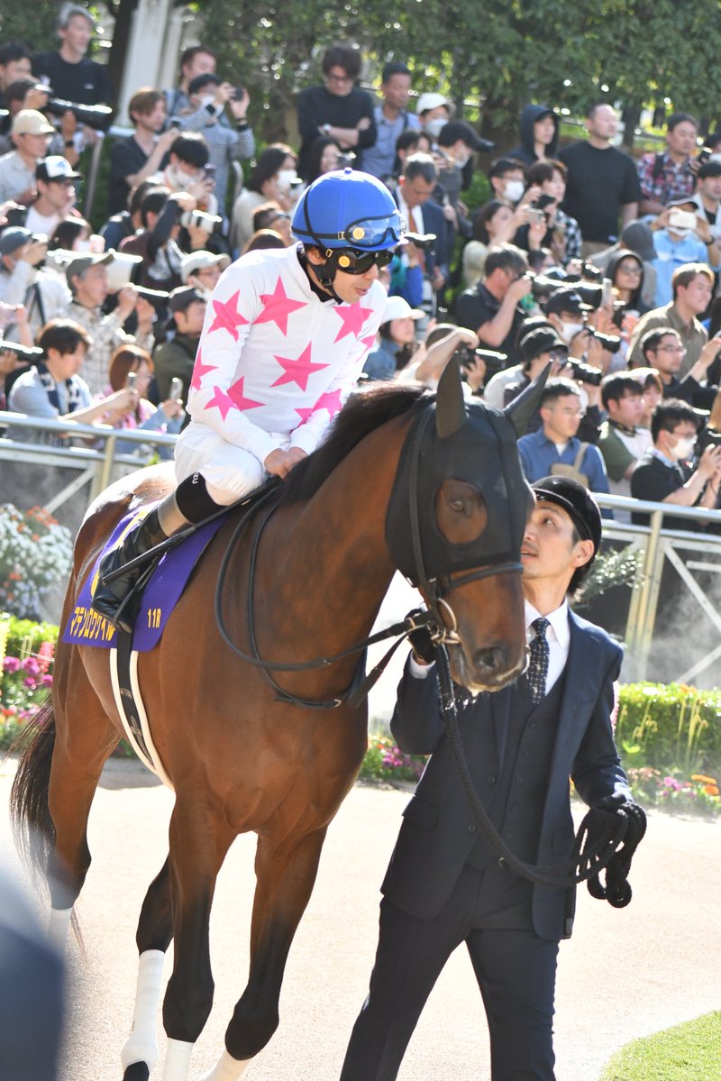 手羽先 tweet media