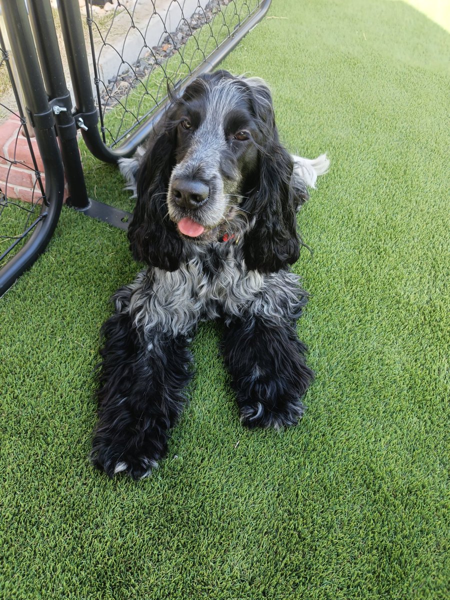 シオ豆腐Kや tweet media