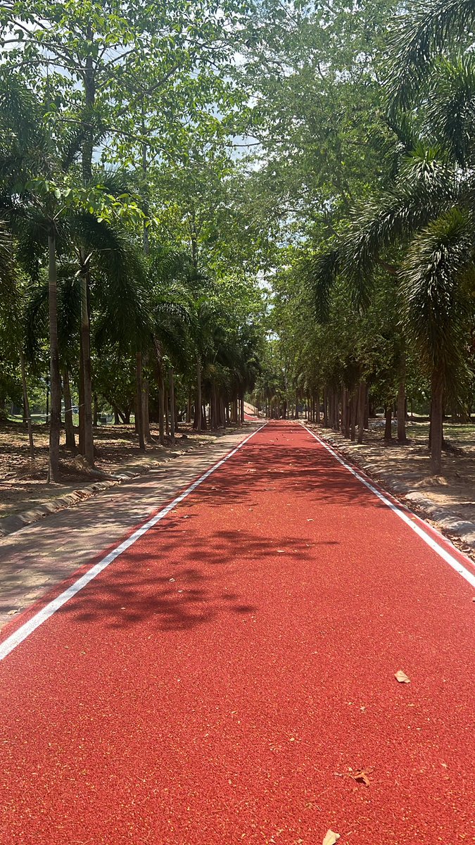 ปอปลา PAR tweet media