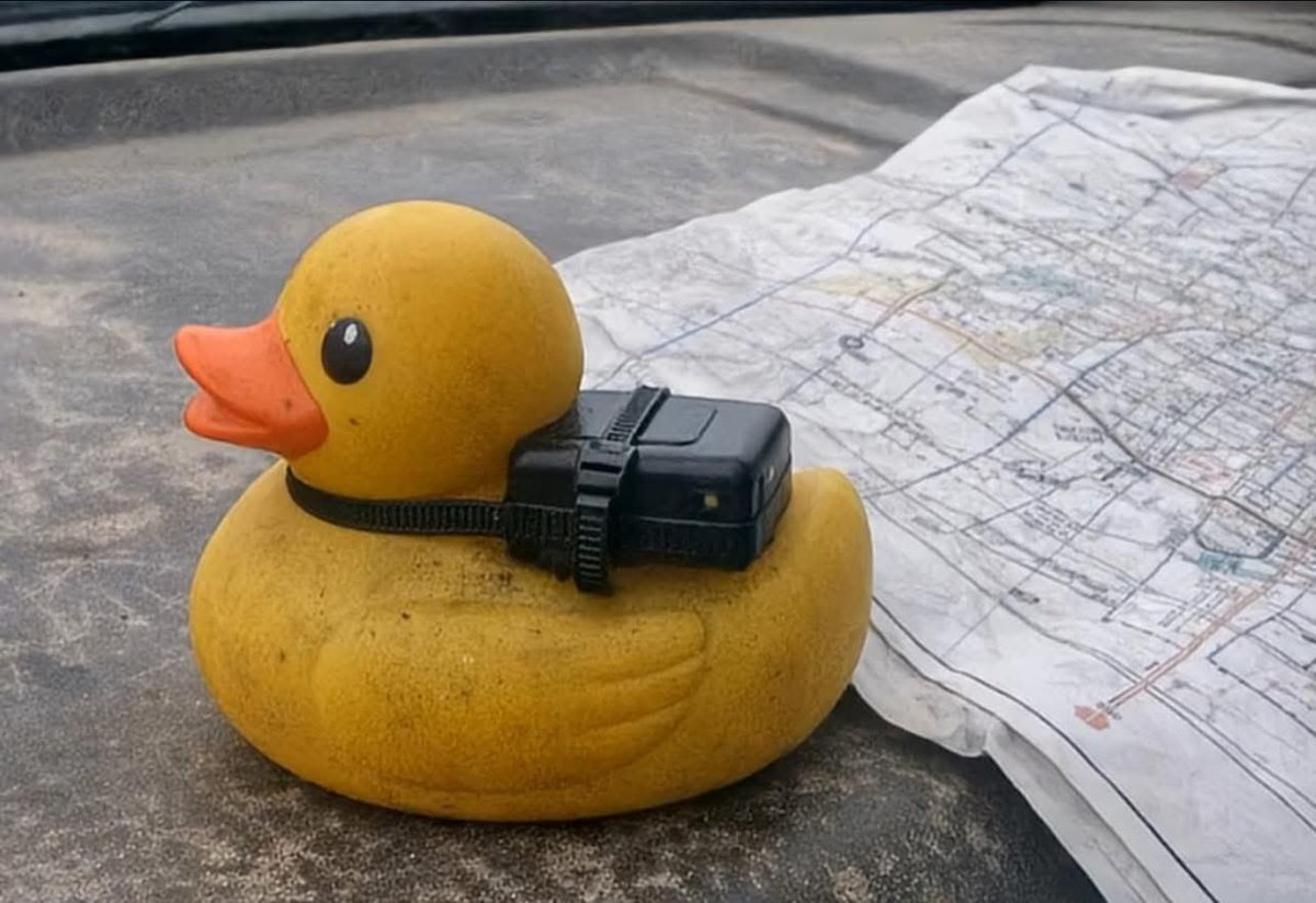 Mr PitBull tweet media