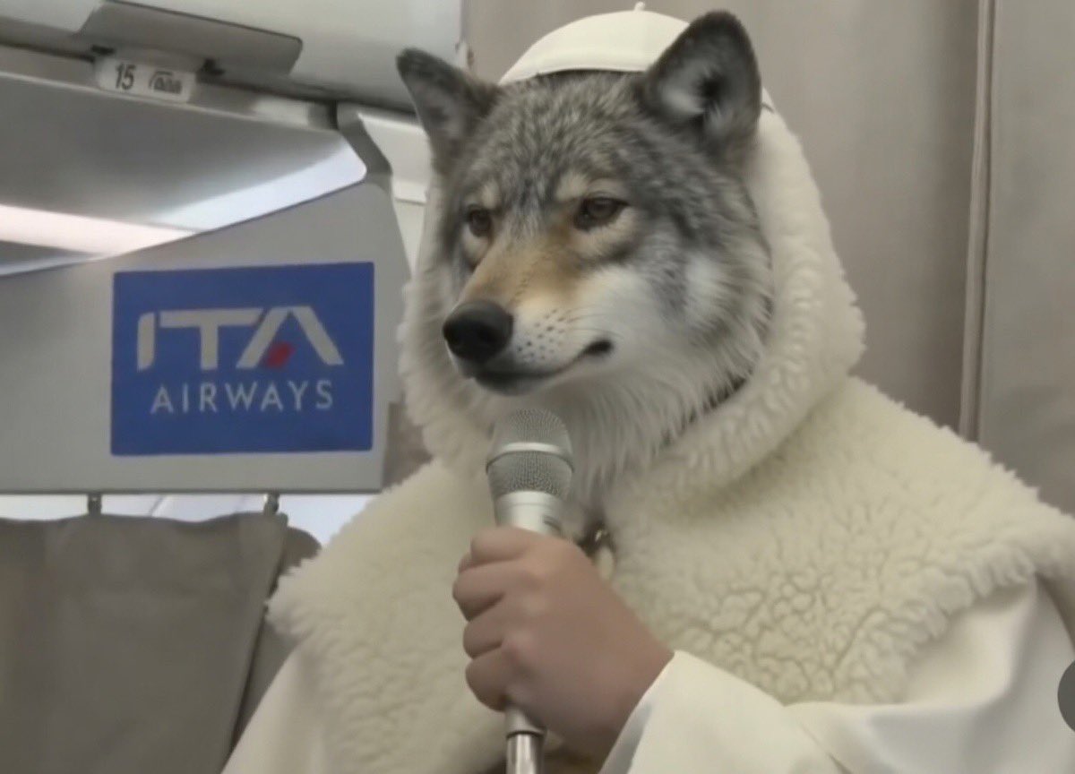 Paul & Dee 🇺🇸 CA-MAGA/MAHA AMERICAN 🇺🇸 FAMILY tweet media