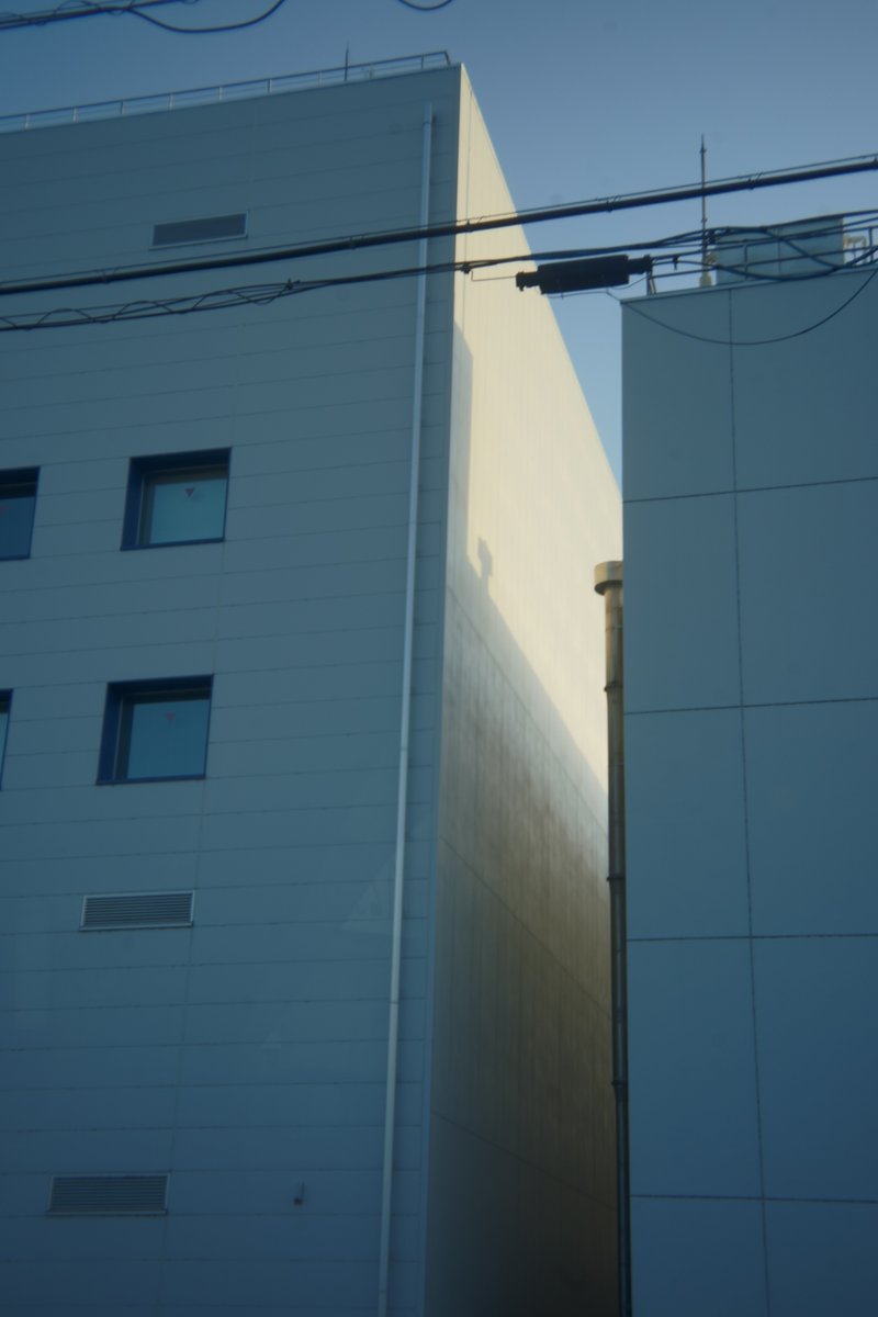 8jime1's tweet image. なんだか気になる影

SONY ILCE-7M3(α7Ⅲ)
GIZMON Utulens f32mm F16

#a7III
#photography