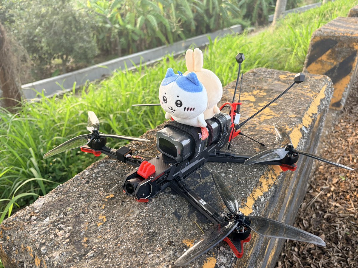 EasonLi11's tweet photo. #ハチワレ 
#うさぎ
#FPV https://t.co/CD1OgwgK5i