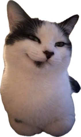 Ms. Please Dont Kill My Vibe tweet media