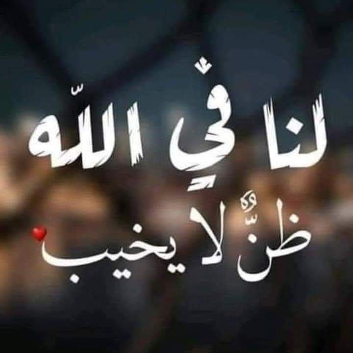 ⁦⁩⁦🇩🇿⁩ حڪـيمة ⁦⁩⁦🇩🇿⁩ tweet media