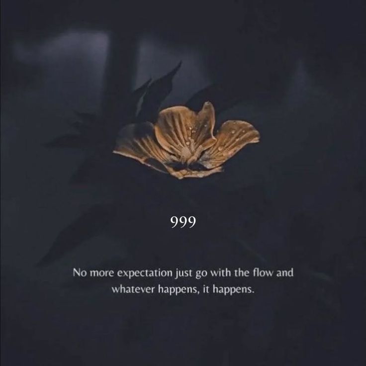 ToolifyELT's tweet image. No more expectation just go with the flow and whatever happens, it happens. By " Winning mindset "
Get App ( play.google.com/store/apps/det… ) #elon #elonmusk #motivational #quotes @Art0fThinking @elonmusk @MrBeast