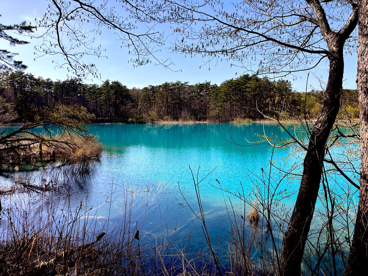 なつき tweet media