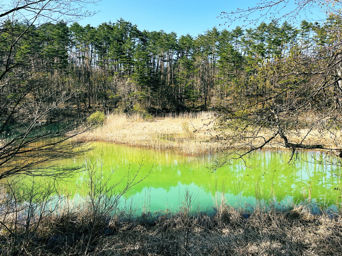 なつき tweet media