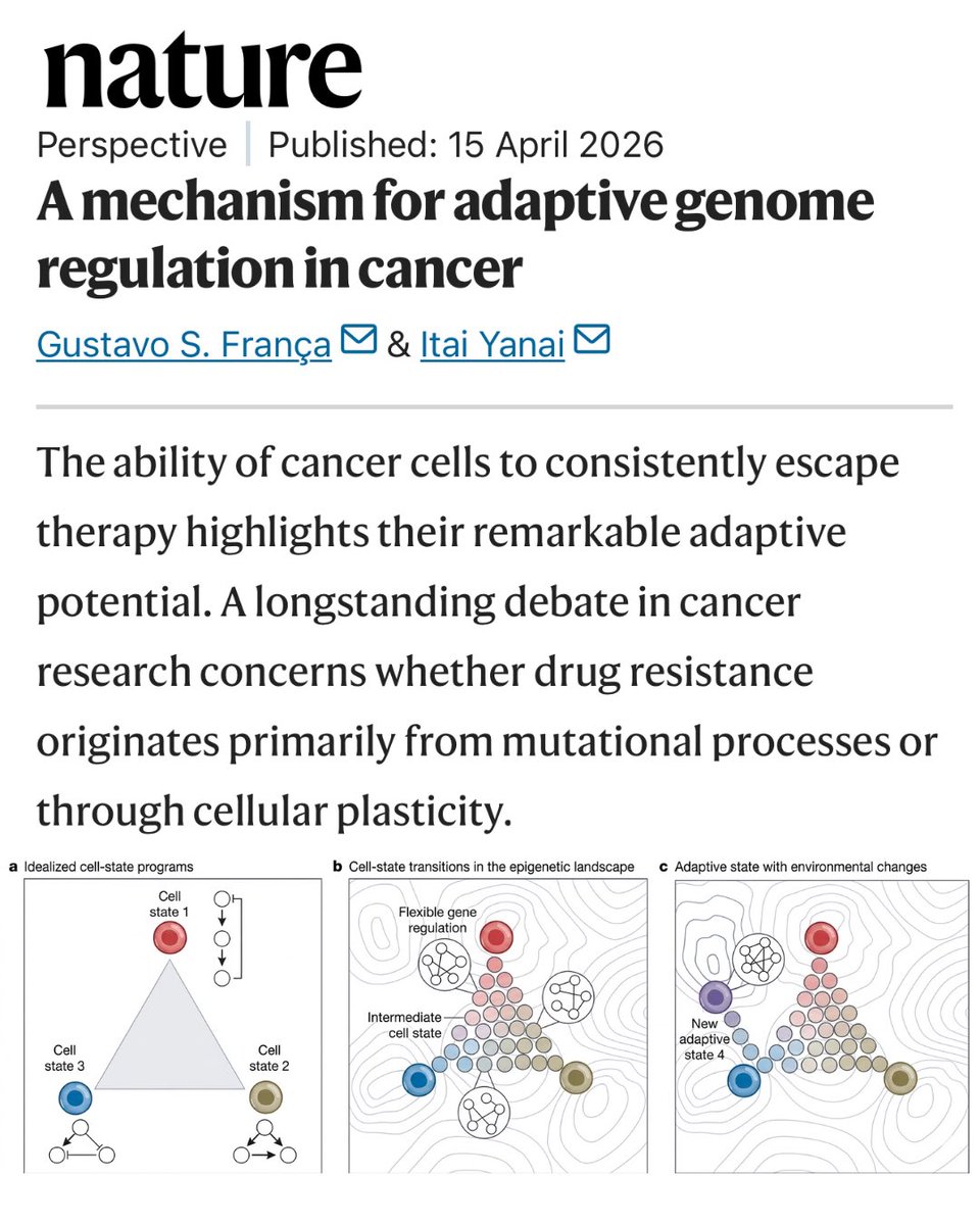 Lung Cancer Europe tweet media