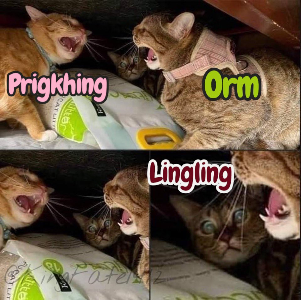 KingFate tweet media