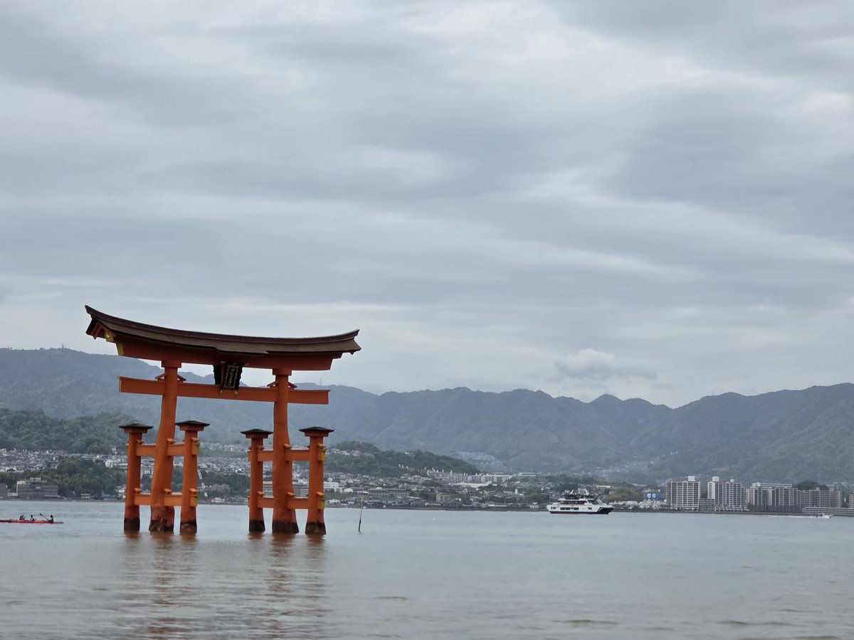 たー@ポケカ,ロルカナ tweet media