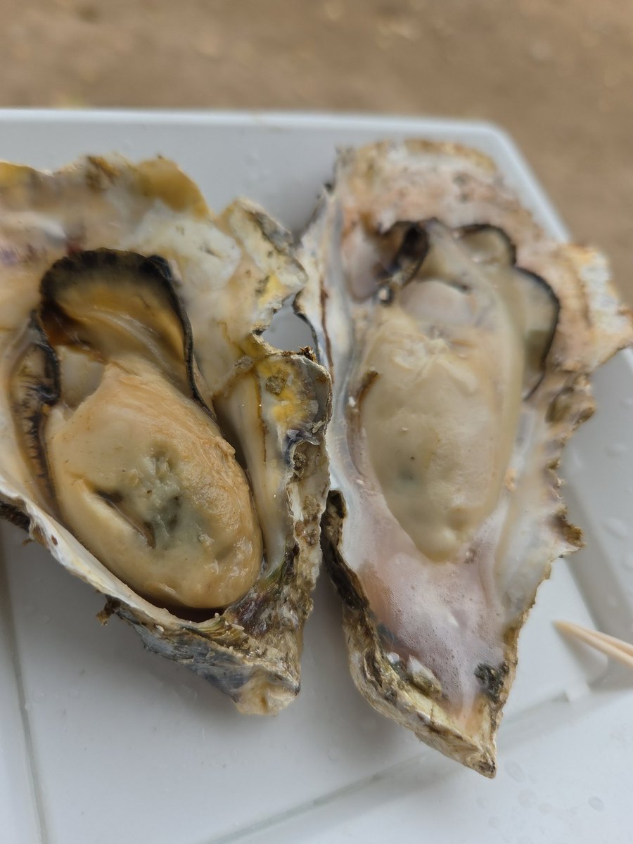 たー@ポケカ,ロルカナ tweet media