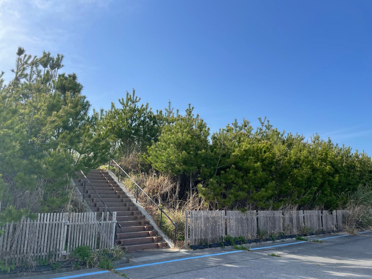 cwt (だいたい連ツイ) tweet media