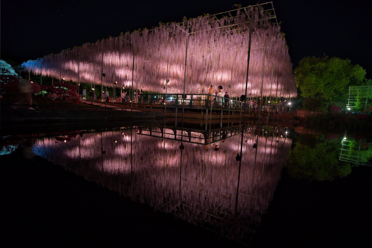 ややすけ tweet media