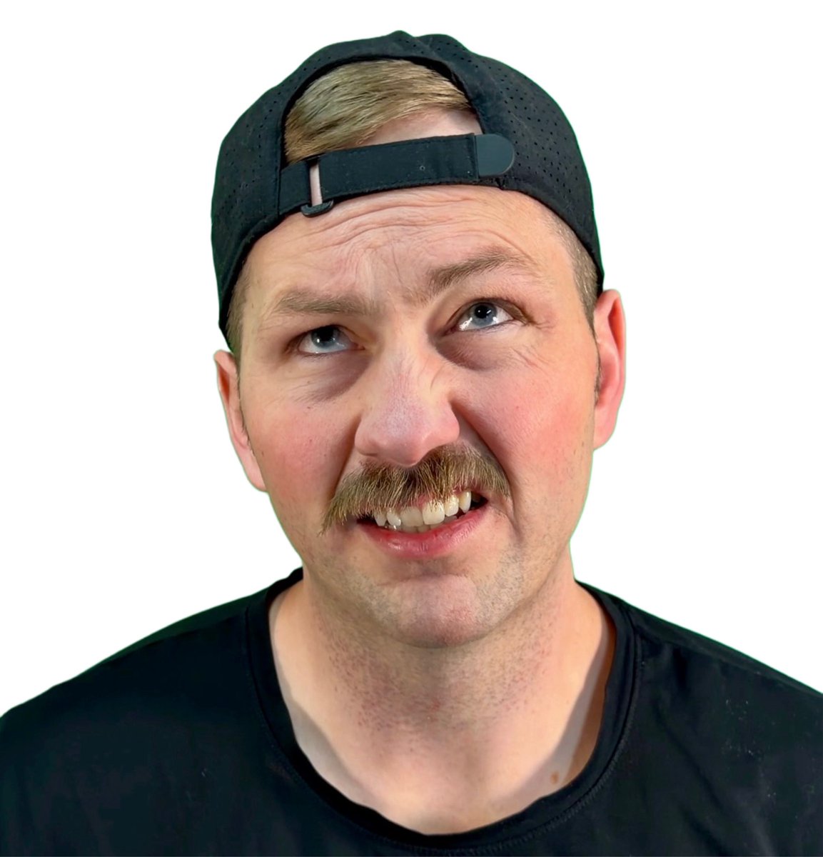 Bard Bard tweet media