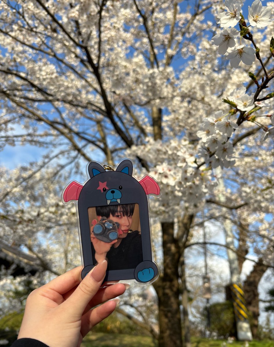 🦊🌸