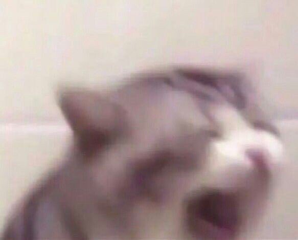 Your Local Toxin Provider tweet media