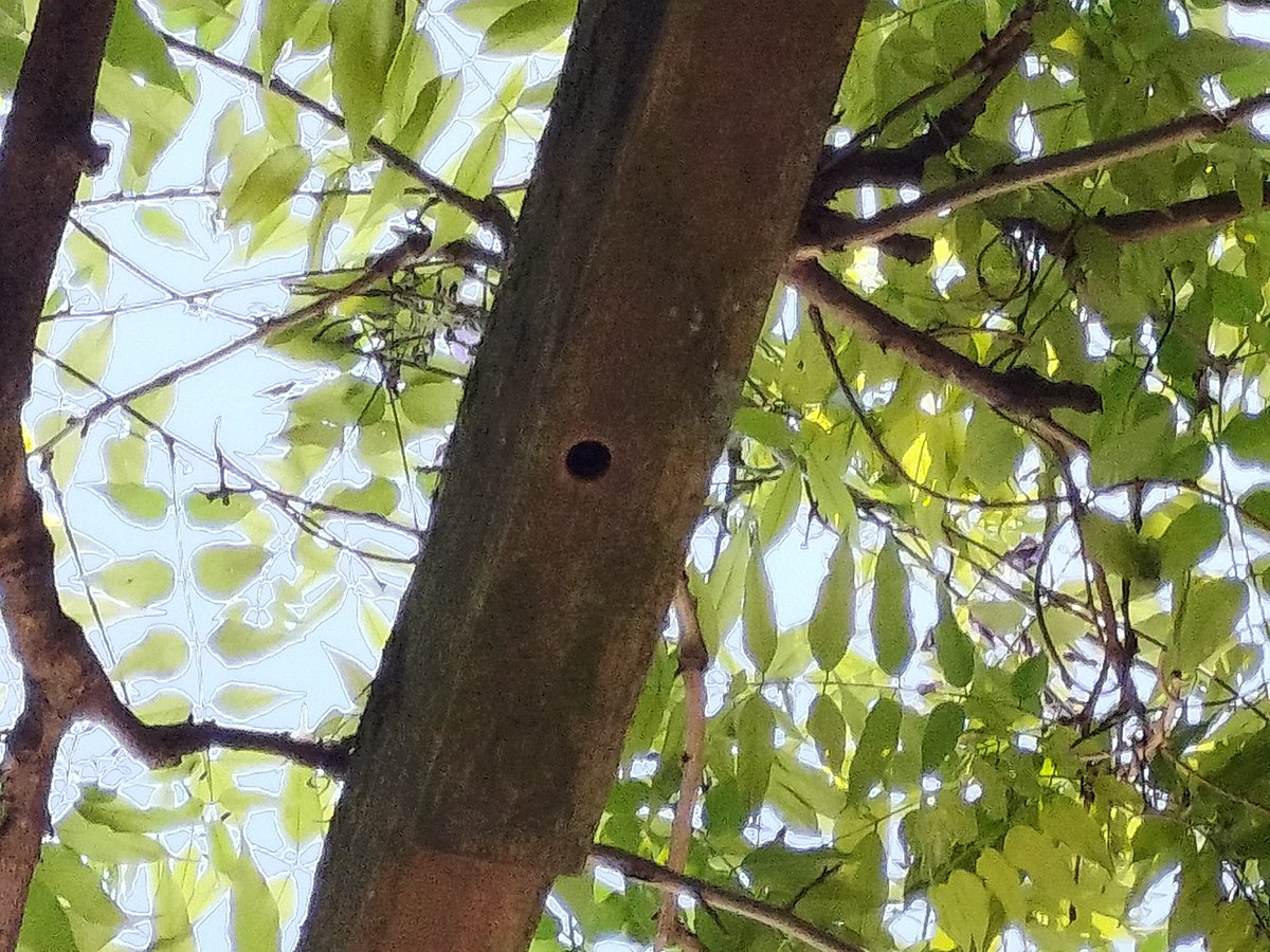 四脚魚.𓆛𓃗 tweet media