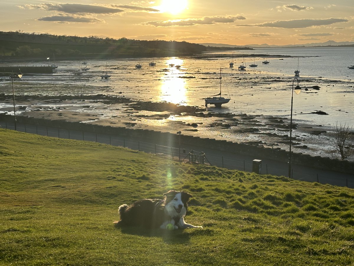 KinlochSusan's tweet image. Blackness #sunset #memories 🏴󠁧󠁢󠁳󠁣󠁴󠁿🐶🌄