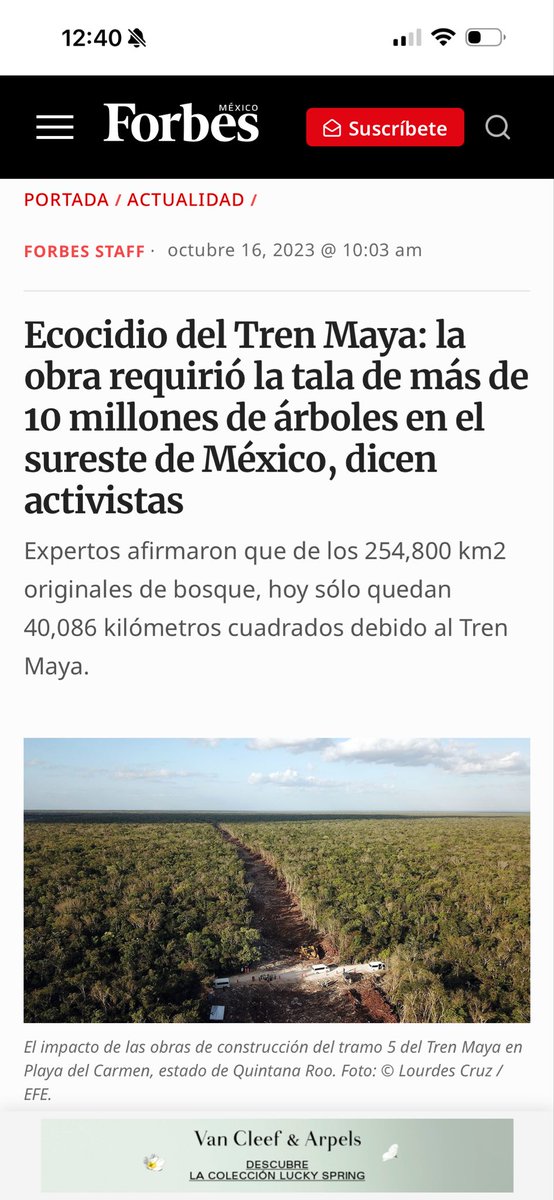 🚨‼️

Claudia Sheinbaum, propone “reforestación mundial” ya olvidó los más de 10 millones de árboles cortados para el paso del #TrenMaya ? No obstante que el asesino <a href="/lopezobrador_/">Andrés Manuel</a>  dijo que no se cortaría ninguno? Además aboga por los dictadores cubanos! 
Y propone la siguiente