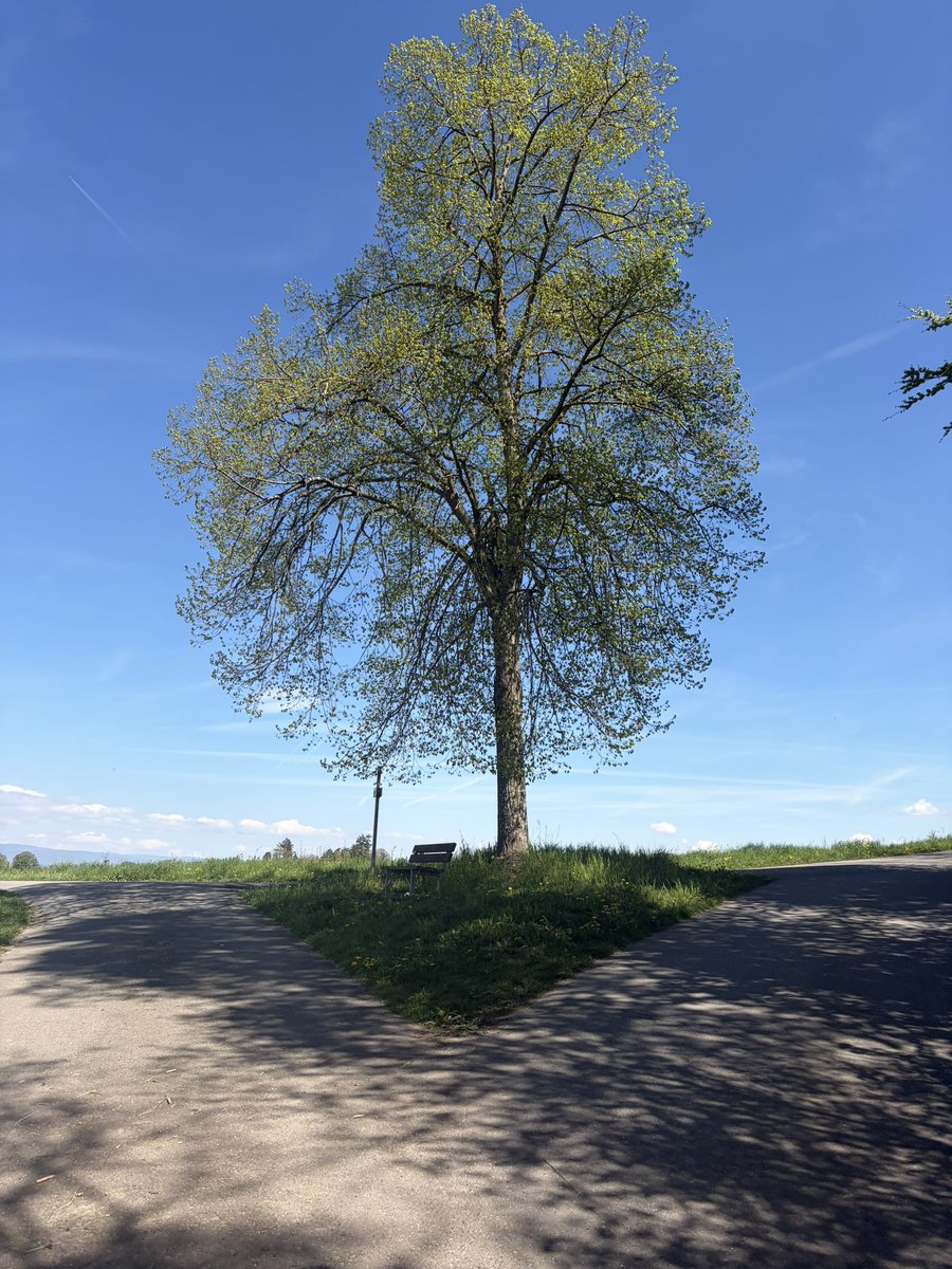 PinkTaxiRunner tweet media