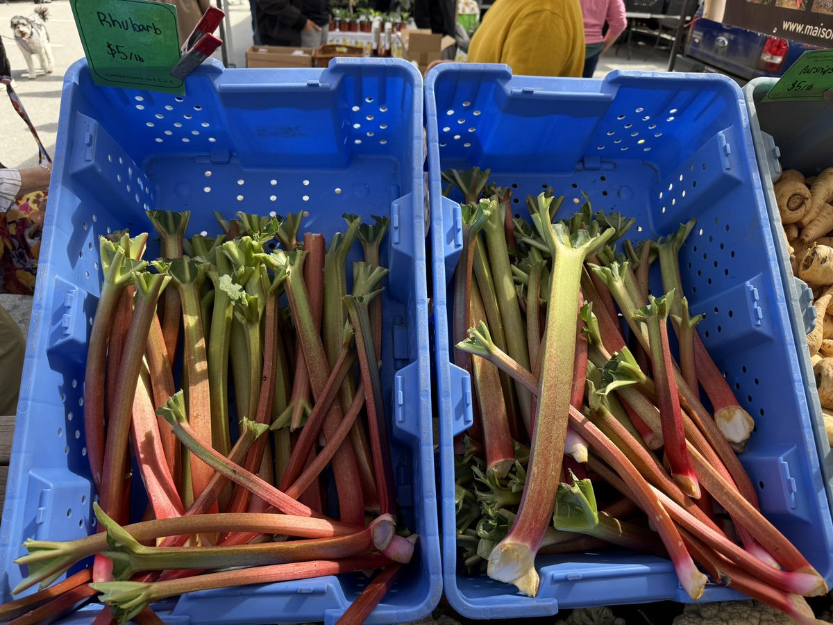 野菜ソムリエHiro🇨🇦🌈 tweet media