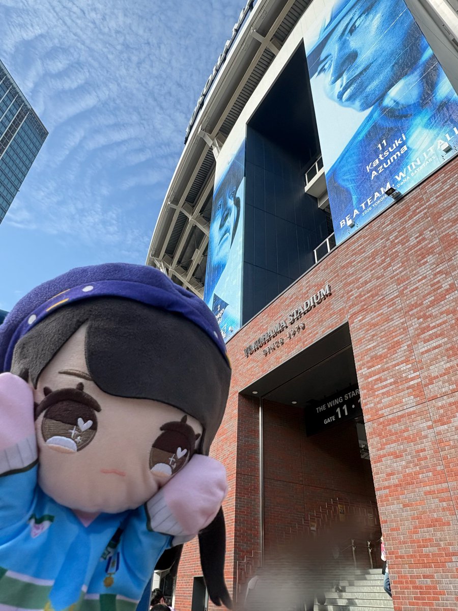 めぐ。 tweet media