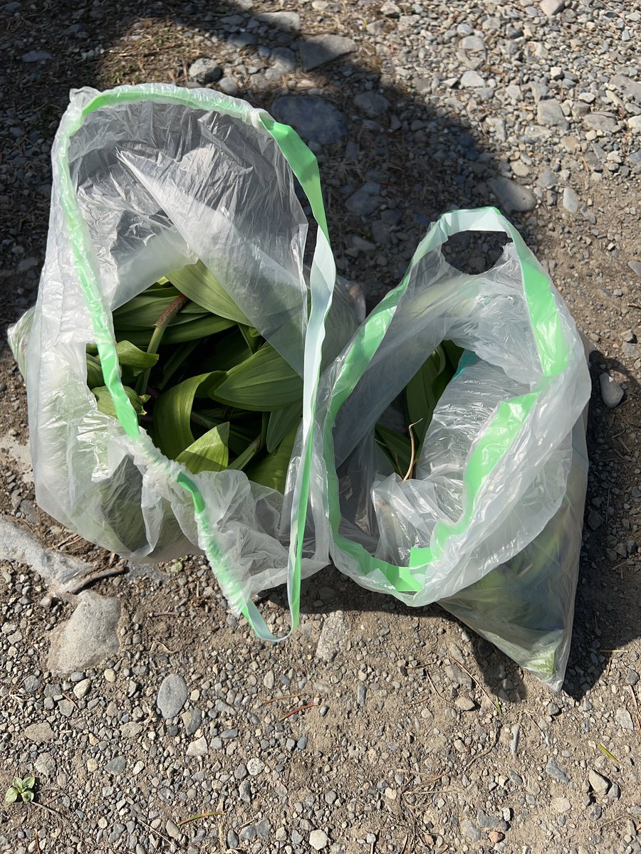 こうへい tweet media