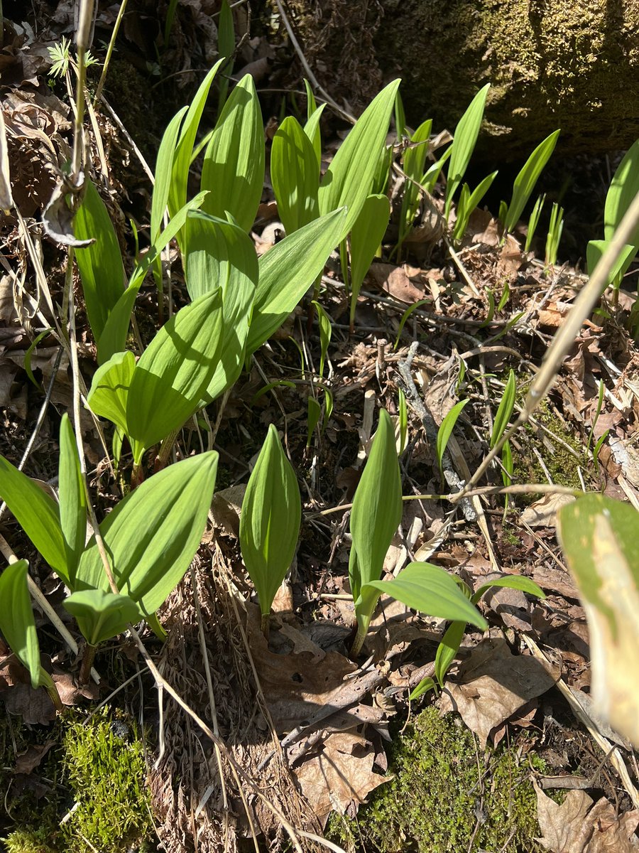 こうへい tweet media