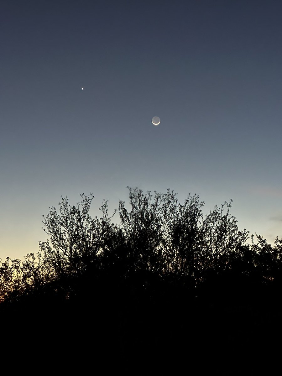 RefriedBrean's tweet image. The crescent moon and Venus performed a lovely dance for us tonight in #Tucson.