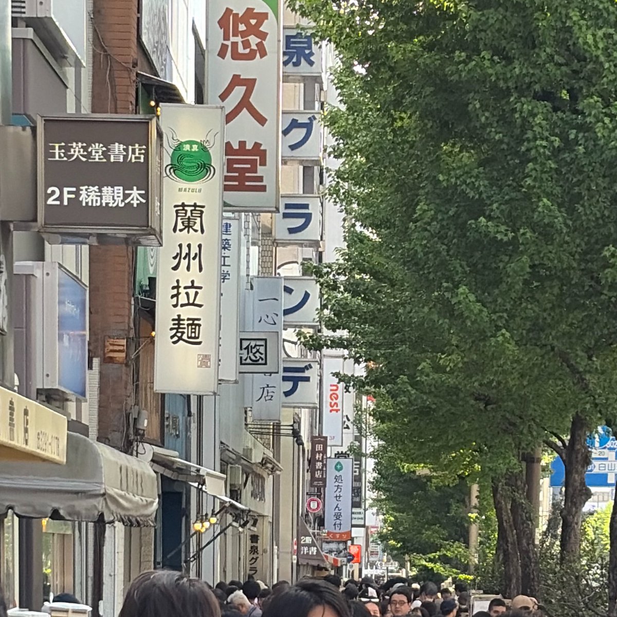 ﾍﾟﾁｼｶ tweet media