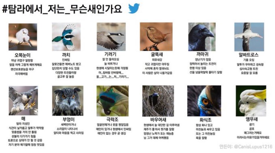 #탐라에서_저는_무슨새인가요

나도 해줘요.. 헤헤..