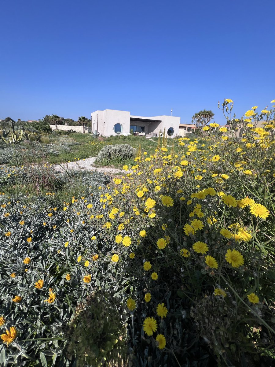 Annemiek tweet media