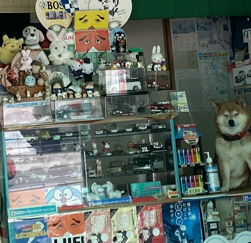 コードリ🍅 tweet media