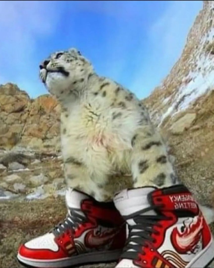 Chief 🥀 tweet media