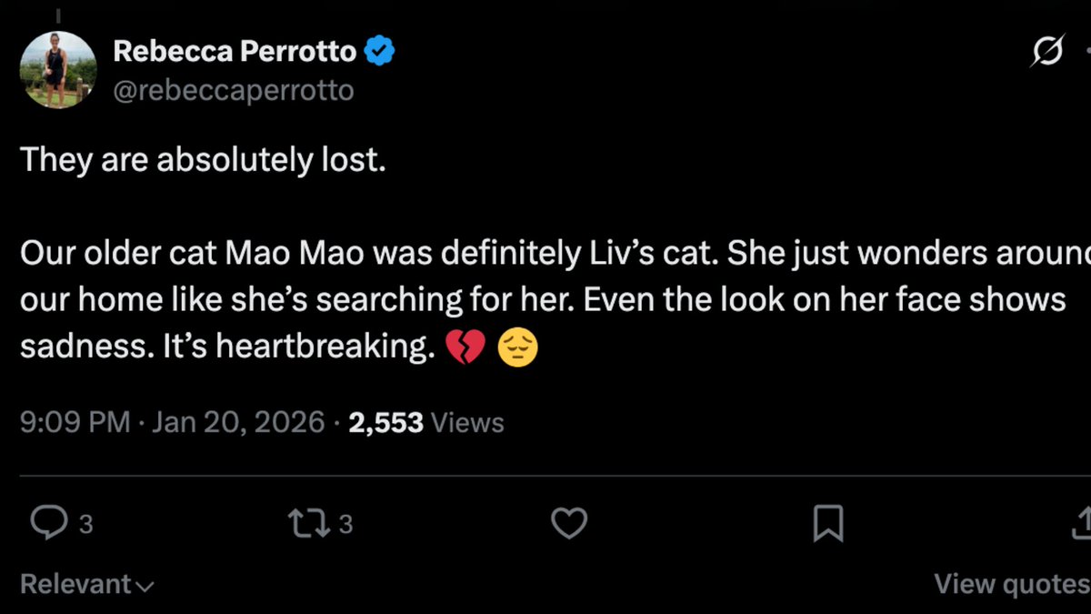 Mao Mao tweet media