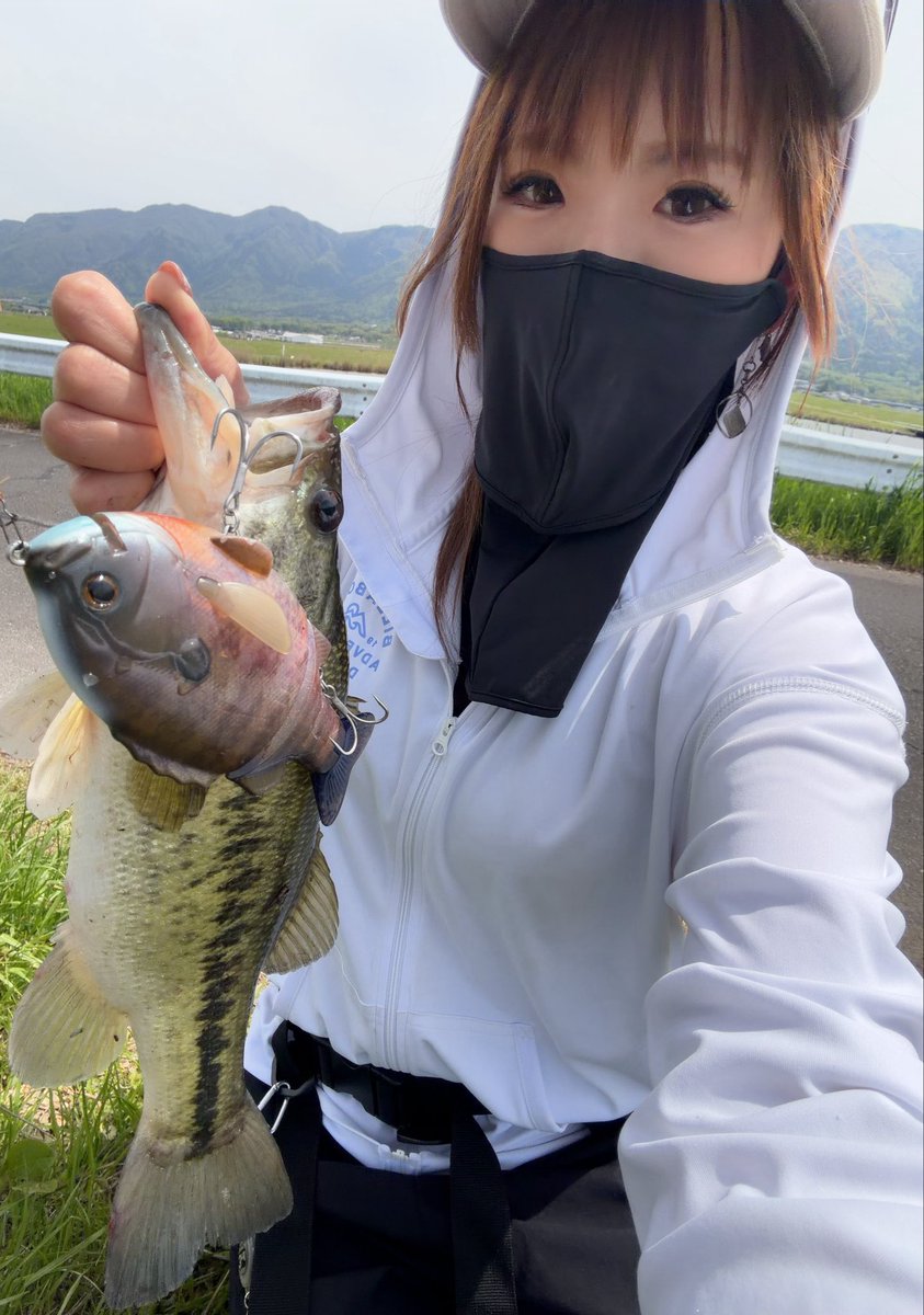 あーちゃん (@ayachibita) / Posts / X